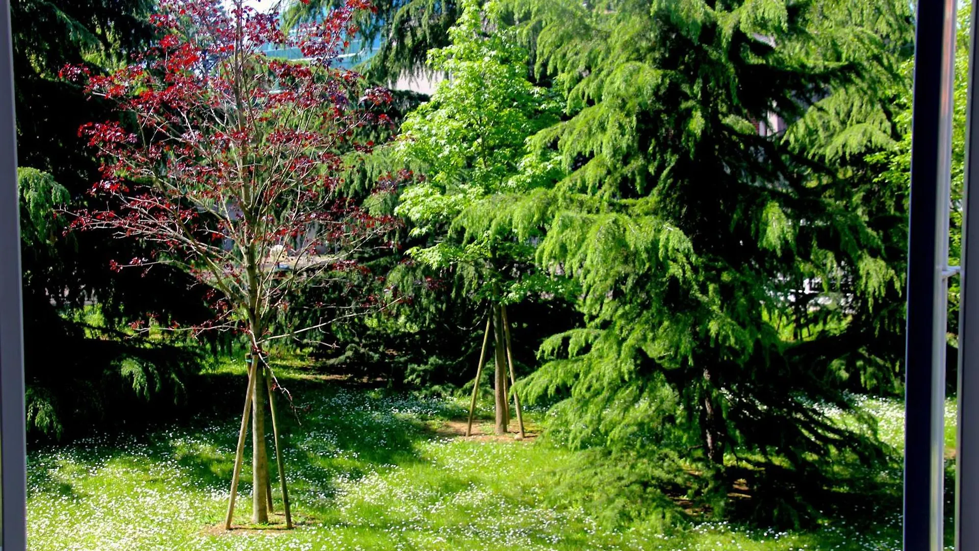 Apartment Greenhouse Milano